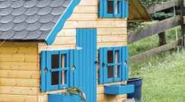 Kolory w ogrodzie nie tylko dzięki kwiatom